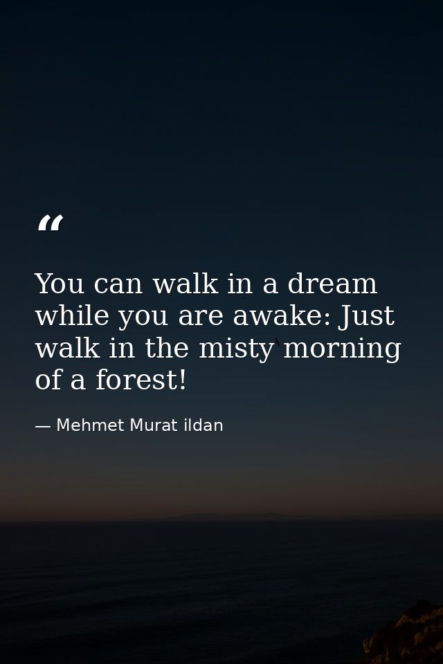 You can walk in a dream while you are awake: Just walk in the misty morning of a forest! — Mehmet Murat ildan