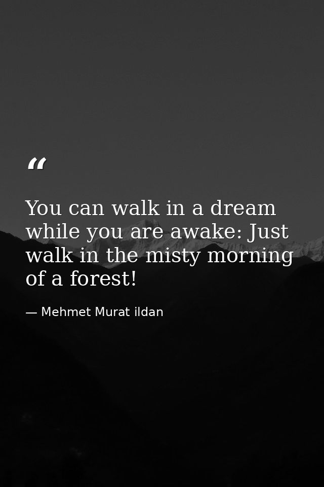 You can walk in a dream while you are awake: Just walk in the misty morning of a forest! — Mehmet Murat ildan