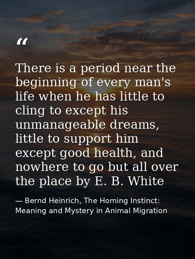 There is a period near the beginning of every man's life when he has little to cling to except his unmanageable dreams,  — Bernd Heinrich, The Homing Instinct: Meaning and Mystery in Animal Migration