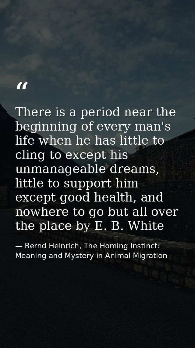 There is a period near the beginning of every man's life when he has little to cling to except his unmanageable dreams,  — Bernd Heinrich, The Homing Instinct: Meaning and Mystery in Animal Migration