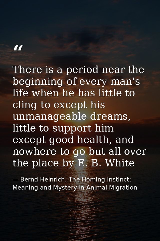 There is a period near the beginning of every man's life when he has little to cling to except his unmanageable dreams,  — Bernd Heinrich, The Homing Instinct: Meaning and Mystery in Animal Migration