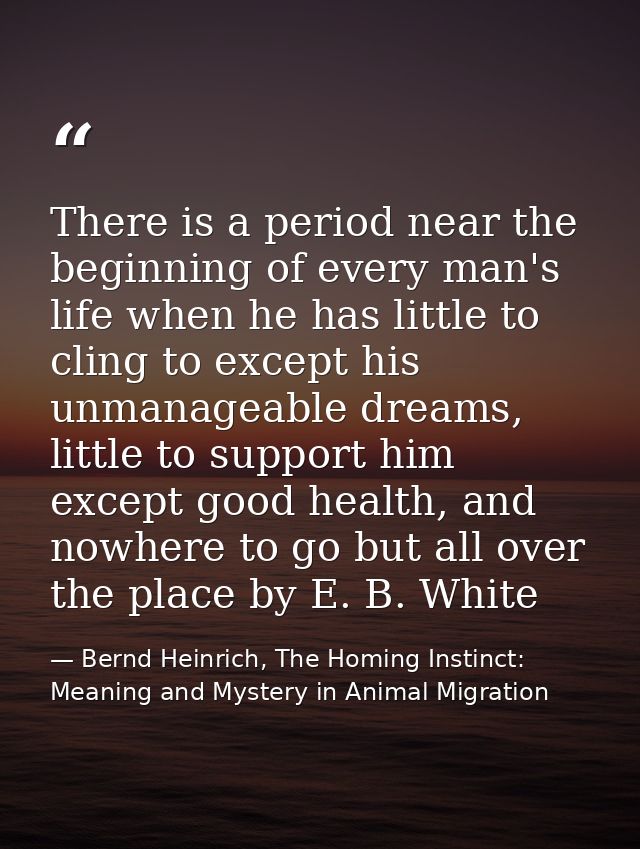 There is a period near the beginning of every man's life when he has little to cling to except his unmanageable dreams,  — Bernd Heinrich, The Homing Instinct: Meaning and Mystery in Animal Migration