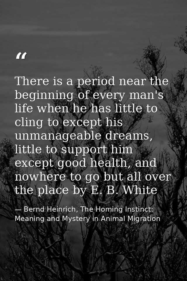 There is a period near the beginning of every man's life when he has little to cling to except his unmanageable dreams,  — Bernd Heinrich, The Homing Instinct: Meaning and Mystery in Animal Migration