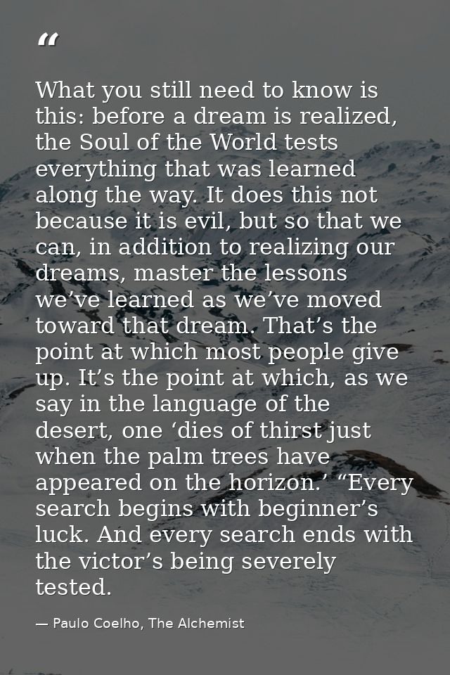 What you still need to know is this: before a dream is realized, the Soul of the World tests everything that was learned — Paulo Coelho, The Alchemist