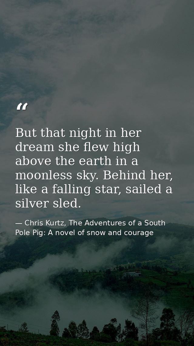 But that night in her dream she flew high above the earth in a moonless sky. Behind her, like a falling star, sailed a s — Chris Kurtz, The Adventures of a South Pole Pig: A novel of snow and courage