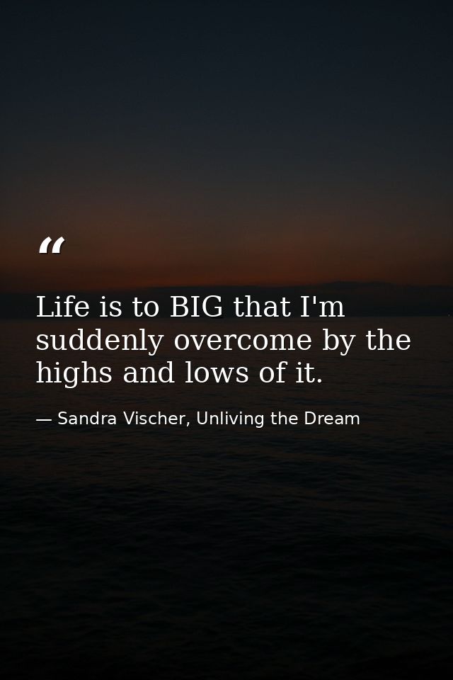 Life is to BIG that I'm suddenly overcome by the highs and lows of it. — Sandra Vischer, Unliving the Dream