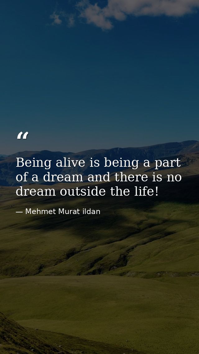 Being alive is being a part of a dream and there is no dream outside the life! — Mehmet Murat ildan