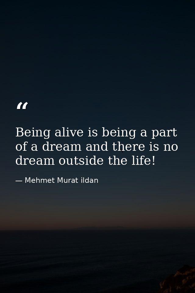 Being alive is being a part of a dream and there is no dream outside the life! — Mehmet Murat ildan