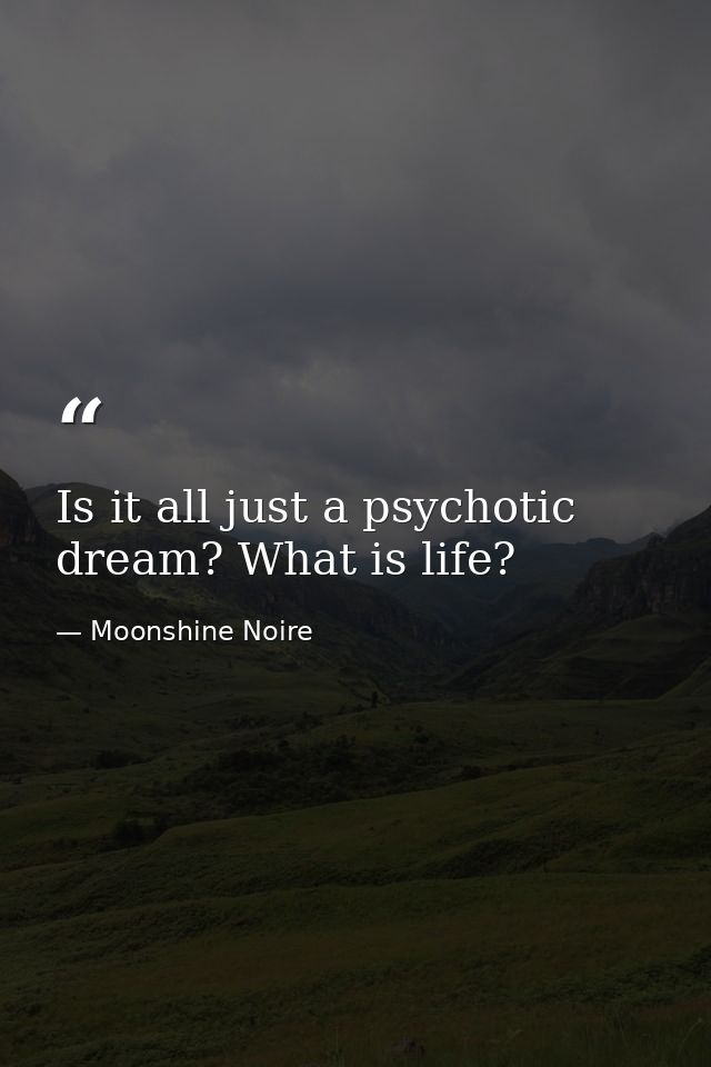 Is it all just a psychotic dream? What is life? — Moonshine Noire