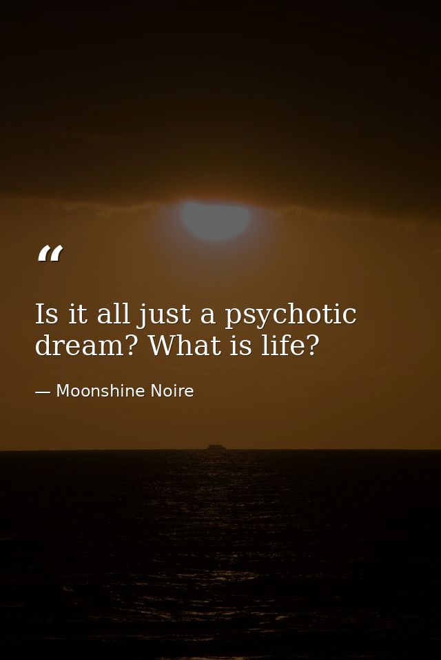 Is it all just a psychotic dream? What is life? — Moonshine Noire