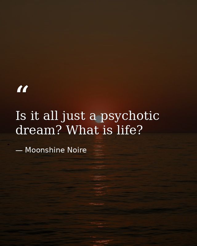 Is it all just a psychotic dream? What is life? — Moonshine Noire