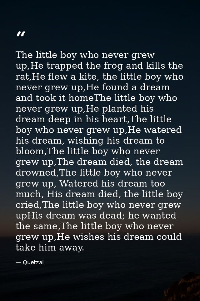 The little boy who never grew up,He trapped the frog and kills the rat,He flew a kite, the little boy who never grew up, — Quetzal