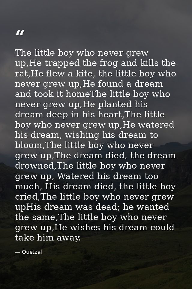 The little boy who never grew up,He trapped the frog and kills the rat,He flew a kite, the little boy who never grew up, — Quetzal