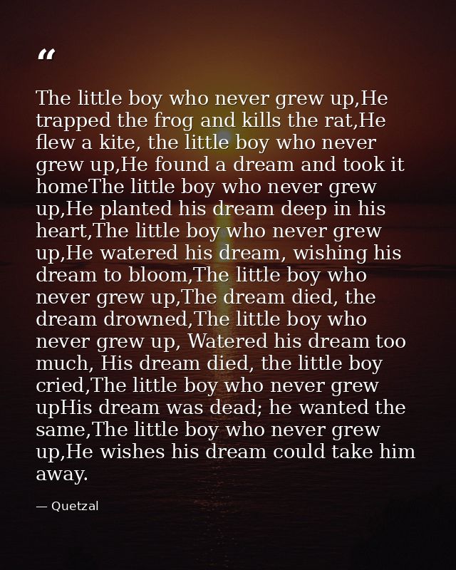 The little boy who never grew up,He trapped the frog and kills the rat,He flew a kite, the little boy who never grew up, — Quetzal