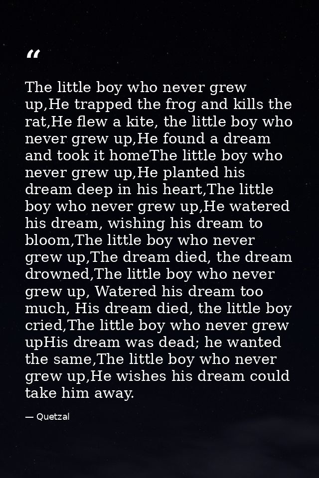 The little boy who never grew up,He trapped the frog and kills the rat,He flew a kite, the little boy who never grew up, — Quetzal