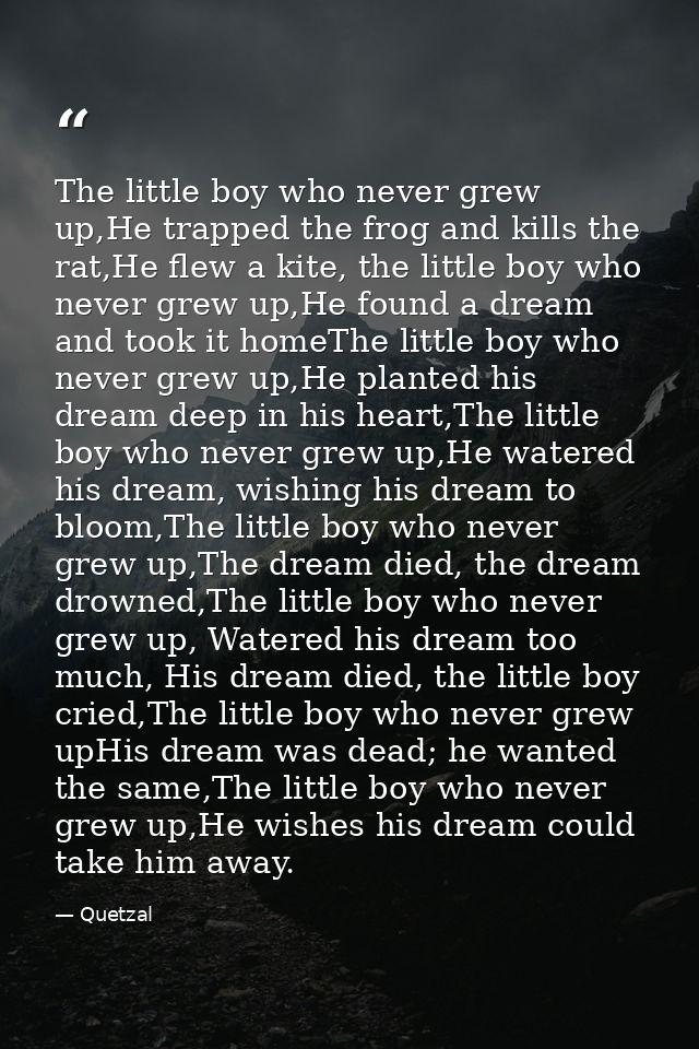 The little boy who never grew up,He trapped the frog and kills the rat,He flew a kite, the little boy who never grew up, — Quetzal