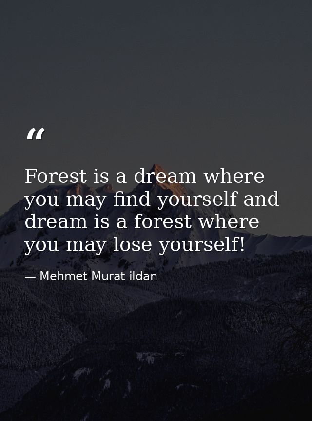 Forest is a dream where you may find yourself and dream is a forest where you may lose yourself! — Mehmet Murat ildan