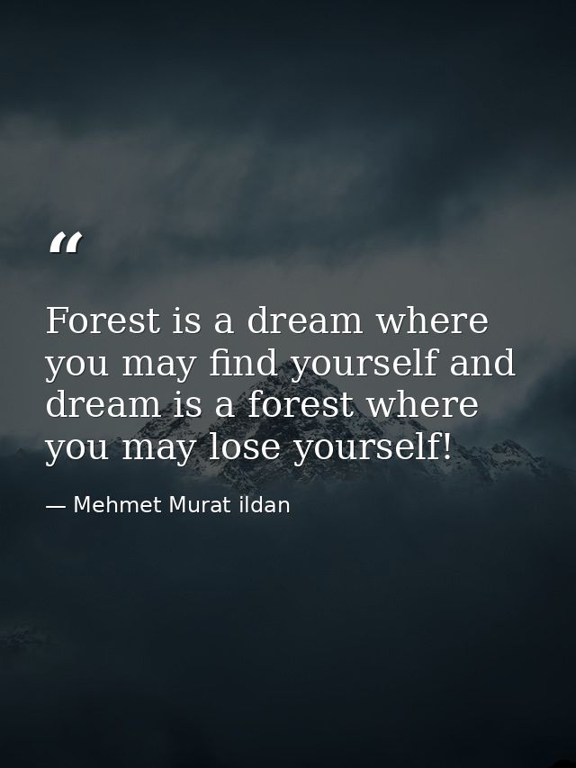 Forest is a dream where you may find yourself and dream is a forest where you may lose yourself! — Mehmet Murat ildan