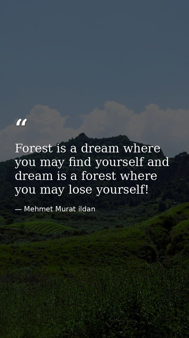 Forest is a dream where you may find yourself and dream is a forest where you may lose yourself! — Mehmet Murat ildan