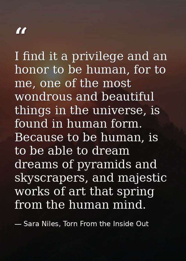 I find it a privilege and an honor to be human, for to me, one of the most wondrous and beautiful things in the universe — Sara Niles, Torn From the Inside Out