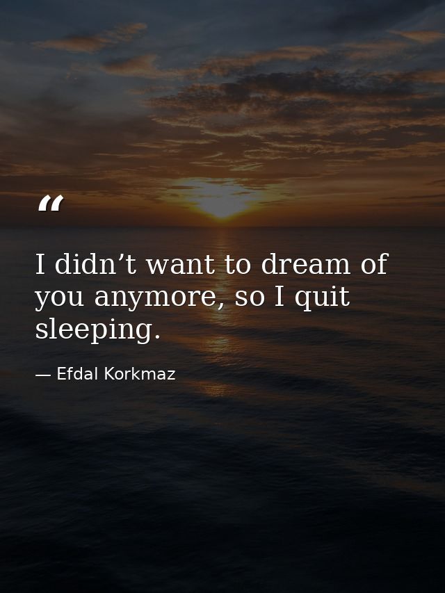 I didn’t want to dream of you anymore, so I quit sleeping. — Efdal Korkmaz