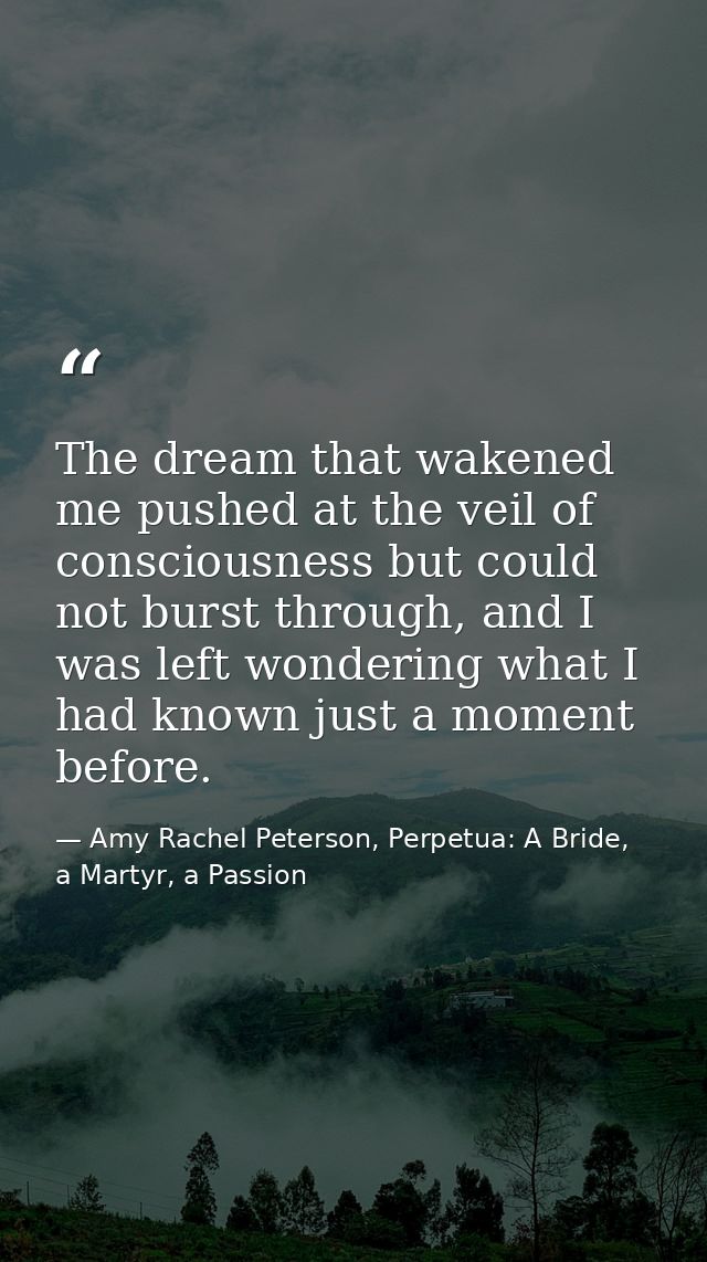 The dream that wakened me pushed at the veil of consciousness but could not burst through, and I was left wondering what — Amy Rachel Peterson, Perpetua: A Bride, a Martyr, a Passion