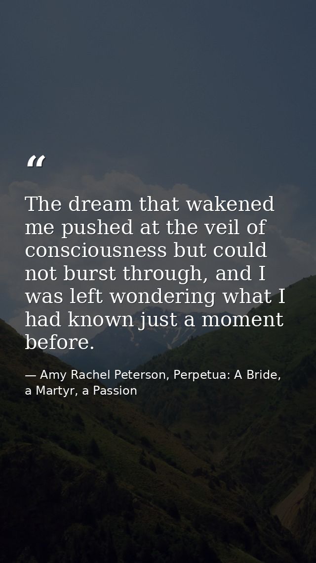 The dream that wakened me pushed at the veil of consciousness but could not burst through, and I was left wondering what — Amy Rachel Peterson, Perpetua: A Bride, a Martyr, a Passion