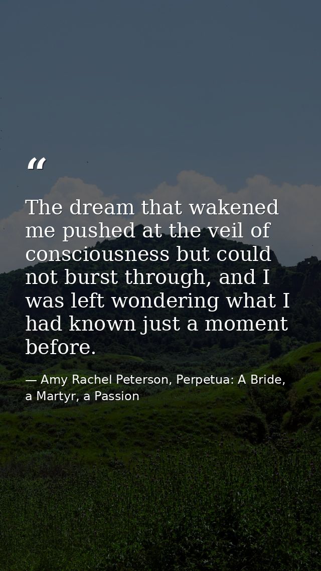 The dream that wakened me pushed at the veil of consciousness but could not burst through, and I was left wondering what — Amy Rachel Peterson, Perpetua: A Bride, a Martyr, a Passion