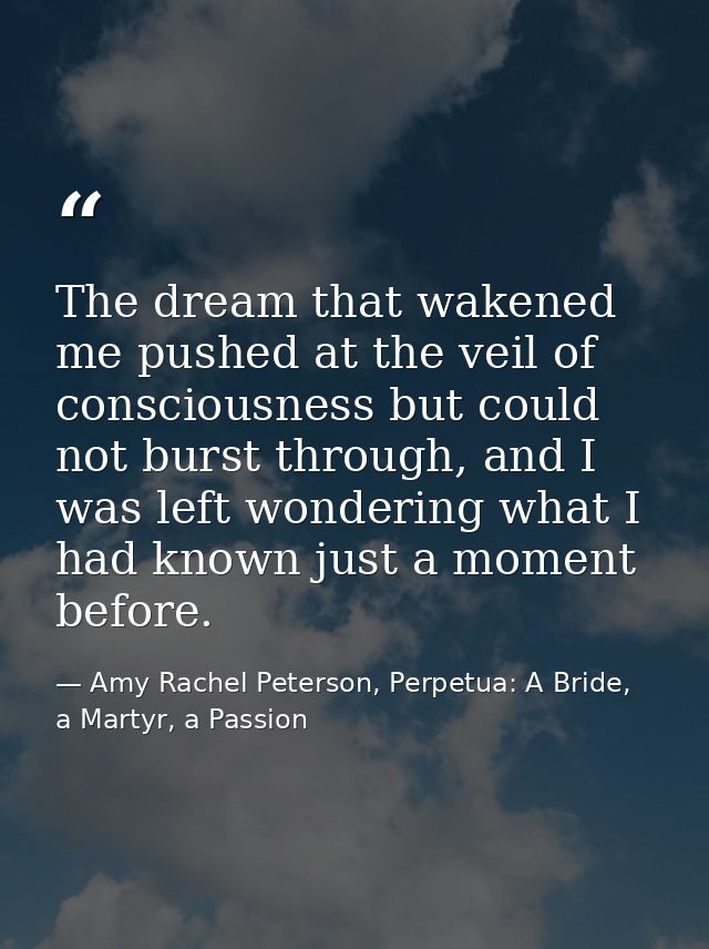 The dream that wakened me pushed at the veil of consciousness but could not burst through, and I was left wondering what — Amy Rachel Peterson, Perpetua: A Bride, a Martyr, a Passion