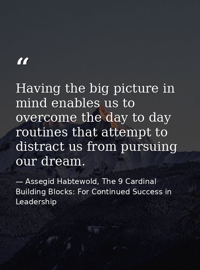 Having the big picture in mind enables us to overcome the day to day routines that attempt to distract us from pursuing  — Assegid Habtewold, The 9 Cardinal Building Blocks: For Continued Success in Leadership