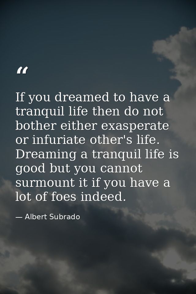 If you dreamed to have a tranquil life then do not bother either exasperate or infuriate other's life. Dreaming a tranqu — Albert Subrado