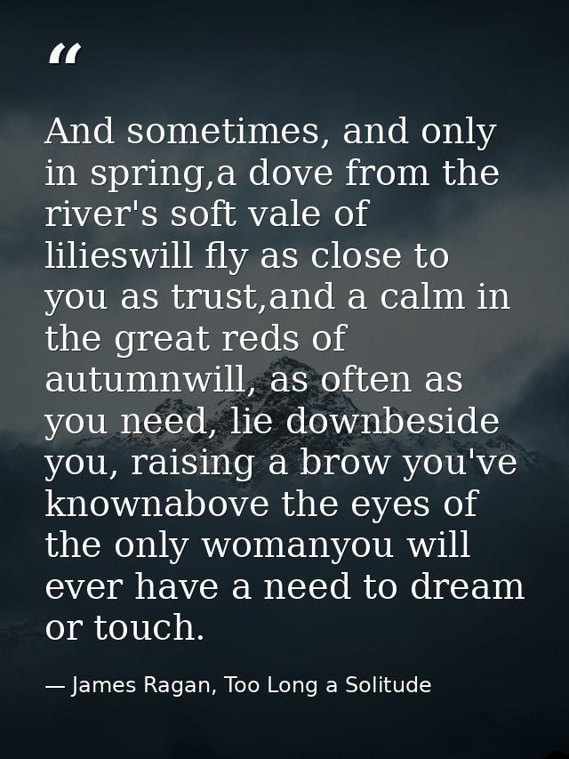 And sometimes, and only in spring,a dove from the river's soft vale of lilieswill fly as close to you as trust,and a cal — James Ragan, Too Long a Solitude