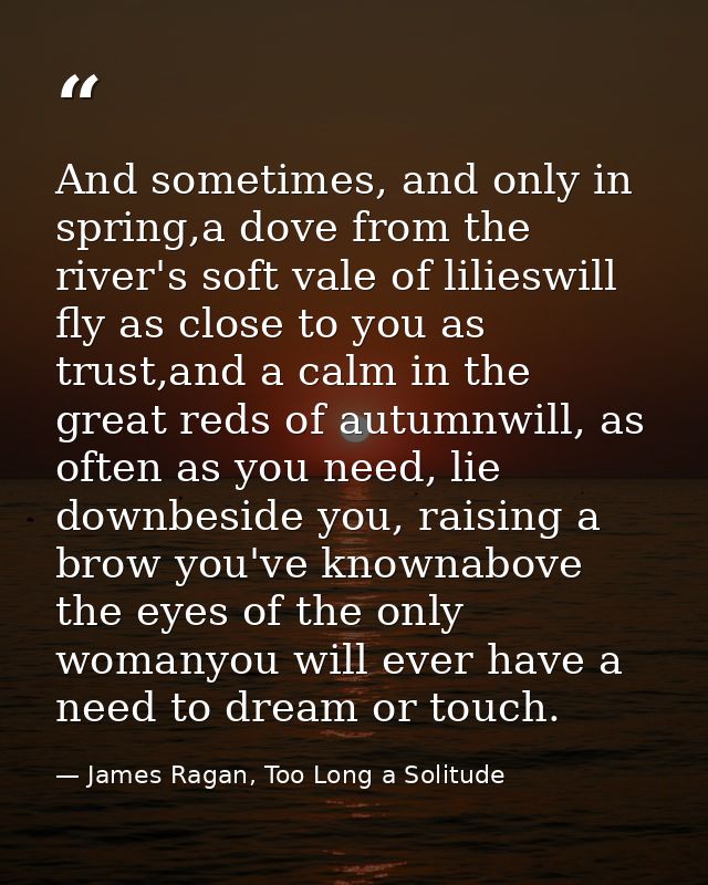 And sometimes, and only in spring,a dove from the river's soft vale of lilieswill fly as close to you as trust,and a cal — James Ragan, Too Long a Solitude