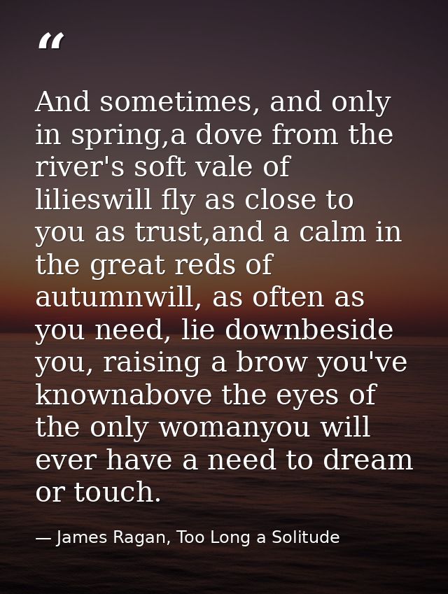 And sometimes, and only in spring,a dove from the river's soft vale of lilieswill fly as close to you as trust,and a cal — James Ragan, Too Long a Solitude