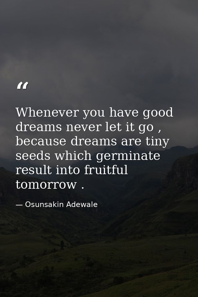 Whenever you have good dreams never let it go , because dreams are tiny seeds which germinate result into fruitful tomor — Osunsakin Adewale