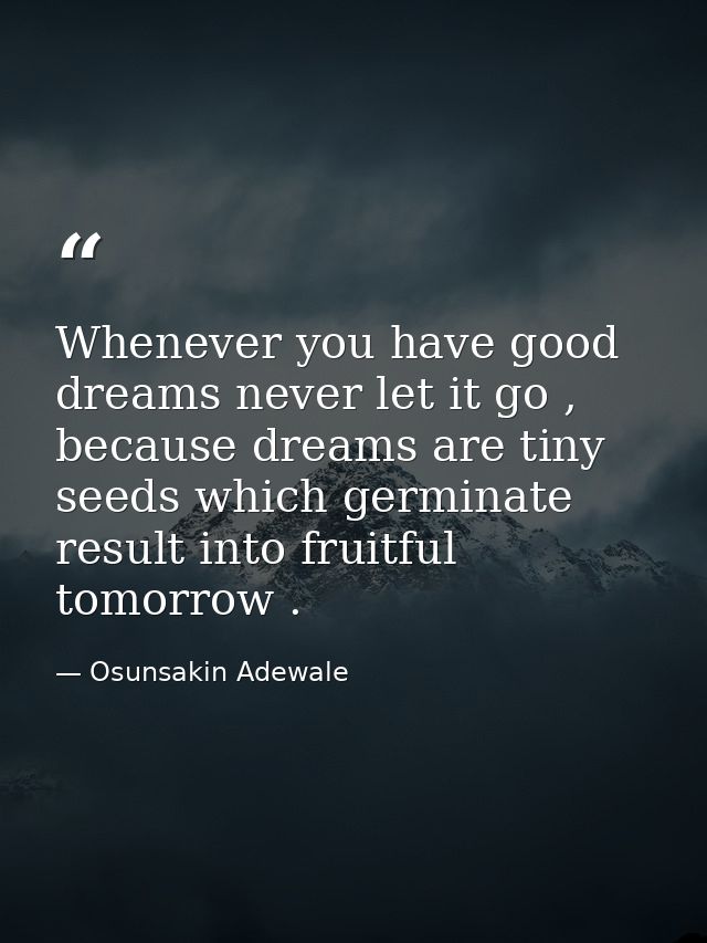 Whenever you have good dreams never let it go , because dreams are tiny seeds which germinate result into fruitful tomor — Osunsakin Adewale