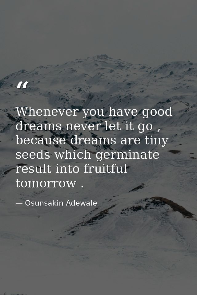 Whenever you have good dreams never let it go , because dreams are tiny seeds which germinate result into fruitful tomor — Osunsakin Adewale