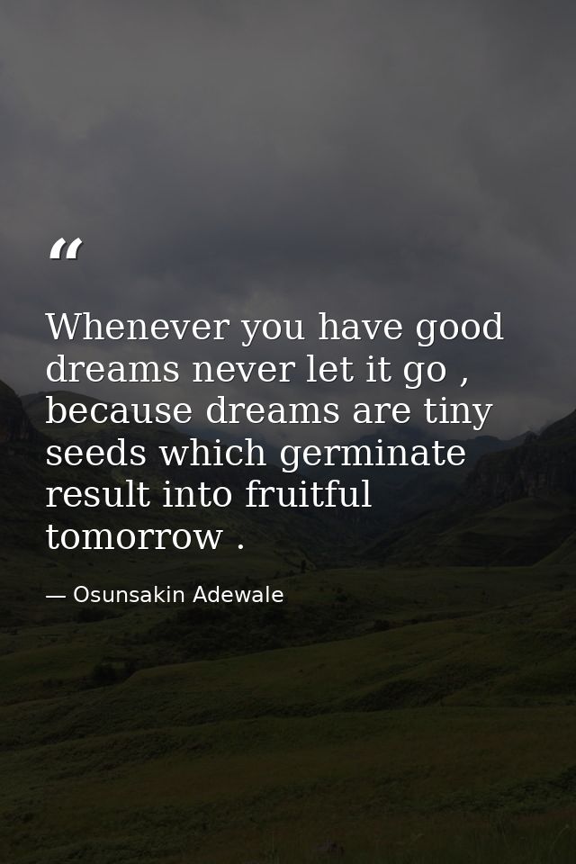 Whenever you have good dreams never let it go , because dreams are tiny seeds which germinate result into fruitful tomor — Osunsakin Adewale