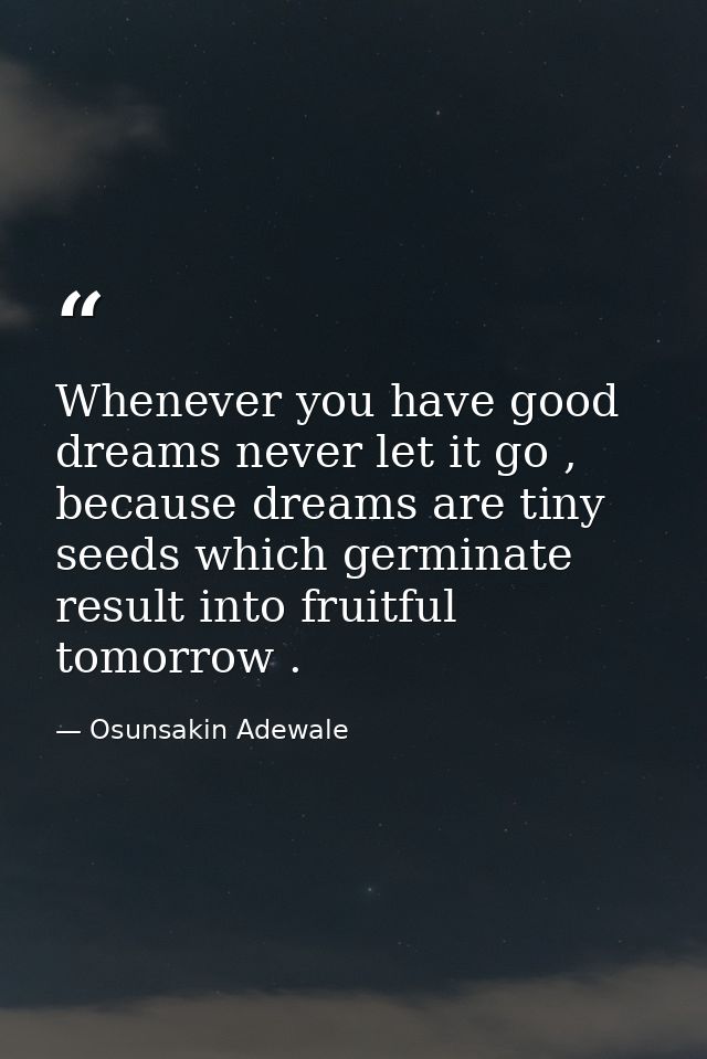Whenever you have good dreams never let it go , because dreams are tiny seeds which germinate result into fruitful tomor — Osunsakin Adewale