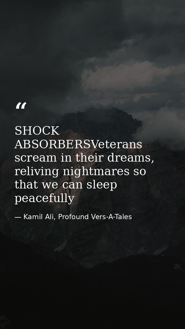 SHOCK ABSORBERSVeterans scream in their dreams, reliving nightmares so that we can sleep peacefully — Kamil Ali, Profound Vers-A-Tales
