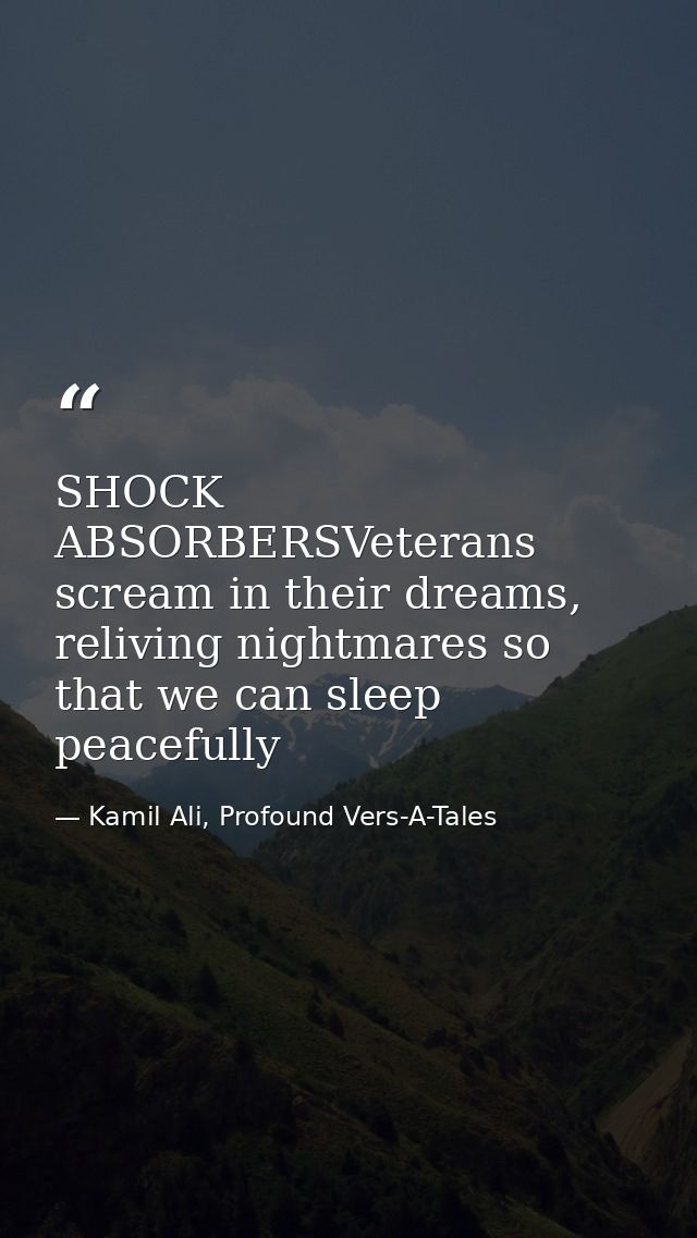 SHOCK ABSORBERSVeterans scream in their dreams, reliving nightmares so that we can sleep peacefully — Kamil Ali, Profound Vers-A-Tales