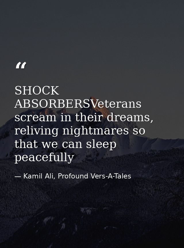 SHOCK ABSORBERSVeterans scream in their dreams, reliving nightmares so that we can sleep peacefully — Kamil Ali, Profound Vers-A-Tales