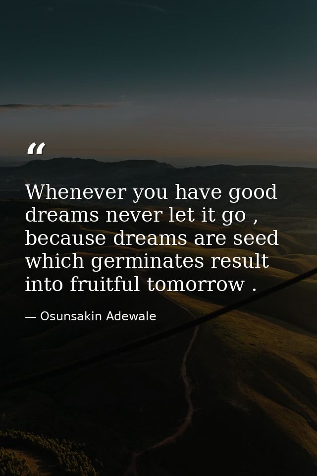 Whenever you have good dreams never let it go , because dreams are seed which germinates result into fruitful tomorrow . — Osunsakin Adewale