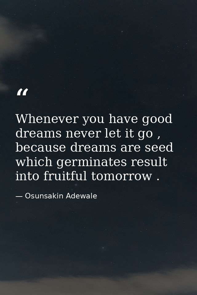 Whenever you have good dreams never let it go , because dreams are seed which germinates result into fruitful tomorrow . — Osunsakin Adewale