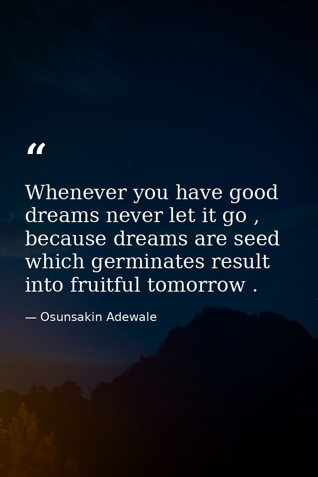 Whenever you have good dreams never let it go , because dreams are seed which germinates result into fruitful tomorrow . — Osunsakin Adewale