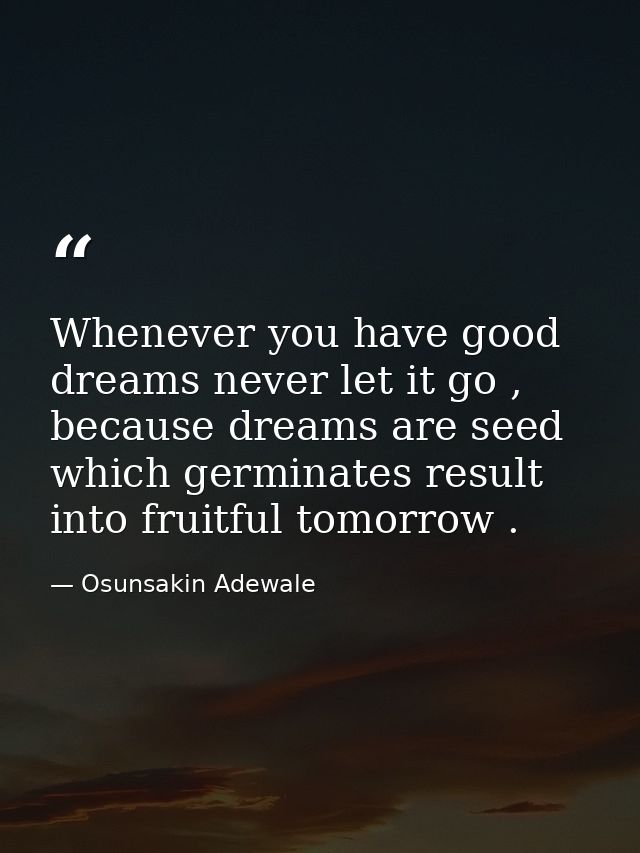Whenever you have good dreams never let it go , because dreams are seed which germinates result into fruitful tomorrow . — Osunsakin Adewale