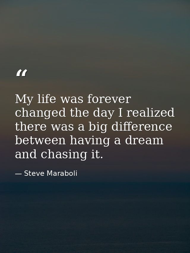 My life was forever changed the day I realized there was a big difference between having a dream and chasing it. — Steve Maraboli