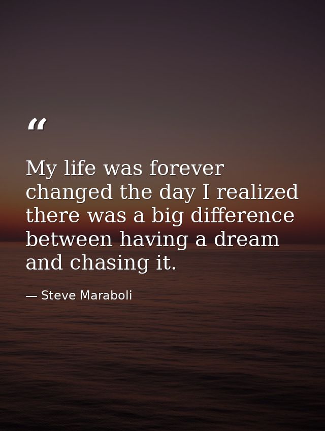My life was forever changed the day I realized there was a big difference between having a dream and chasing it. — Steve Maraboli
