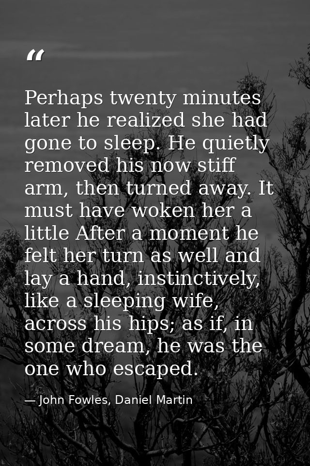 Perhaps twenty minutes later he realized she had gone to sleep. He quietly removed his now stiff arm, then turned away.  — John Fowles, Daniel Martin