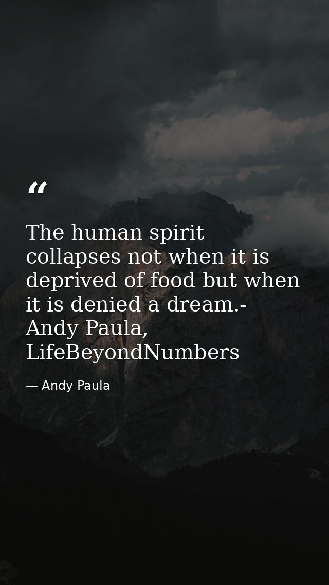 The human spirit collapses not when it is deprived of food but when it is denied a dream.- Andy Paula, LifeBeyondNumbers — Andy Paula